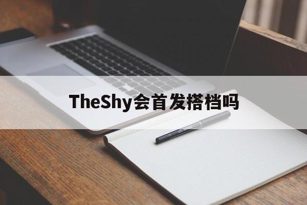 TheShy会首发搭档吗(theshy来lpl的首秀)